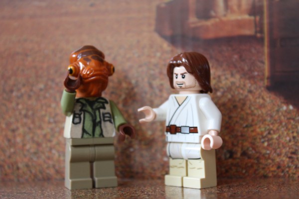 IMG_2622 (600 x 400).jpg