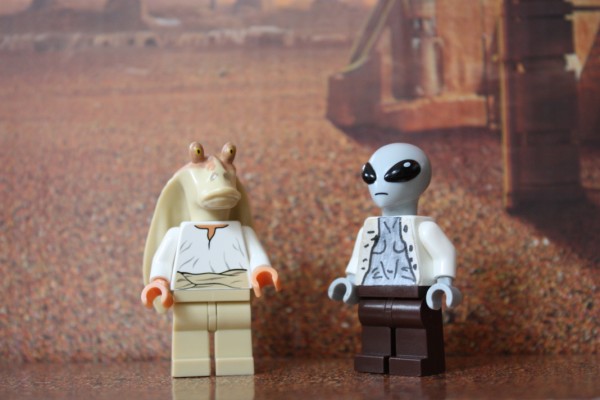 IMG_2633 (600 x 400).jpg