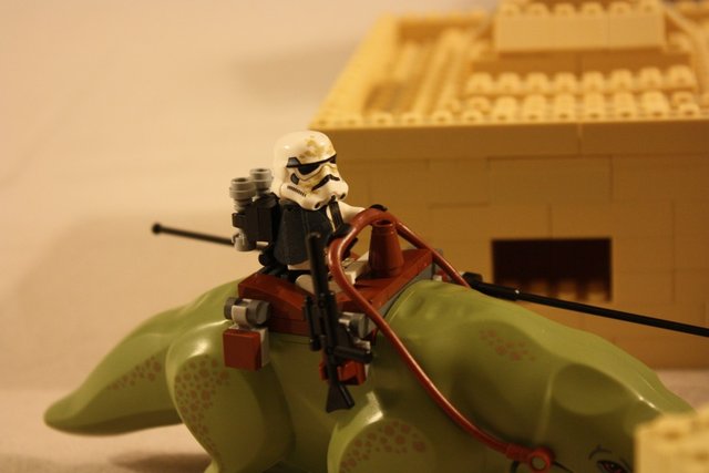 IMG_2733 (1068 x 712).jpg