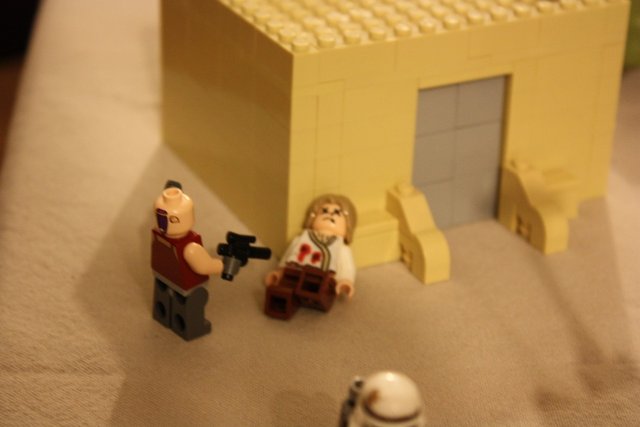 IMG_2721 (1068 x 712).jpg